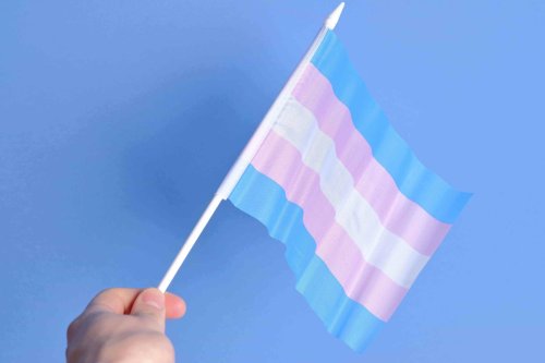 Texas Republicans Push to Define Biological Sex in Statute