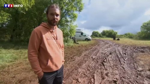 "On en a pour plusieurs années" : dans le Lot, qui va payer pour les dégâts de la rave-party ? | TF1 INFO