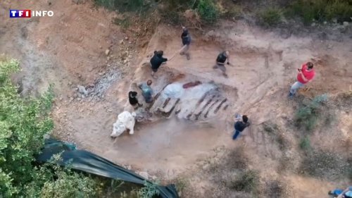 VIDÉO - Au Portugal, un homme découvre un squelette de dinosaure dans son jardin