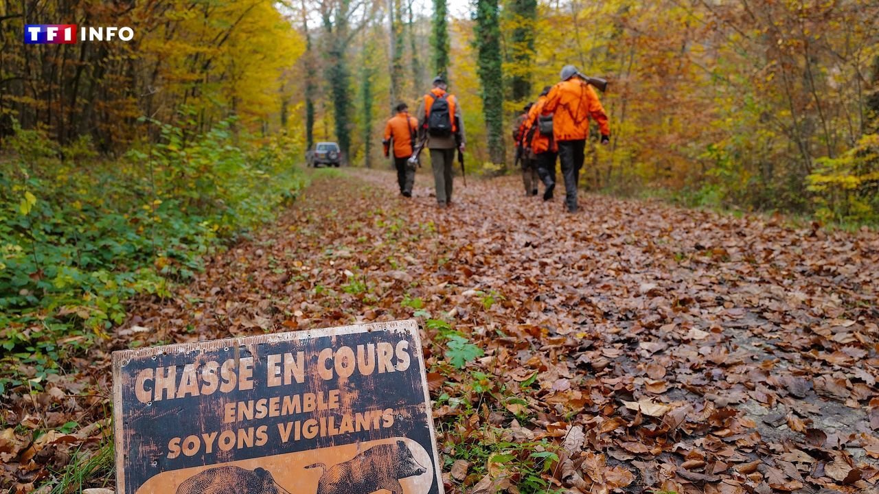 Orne : deux chasseurs condamnés à de la prison pour avoir tué accidentellement un agriculteur | TF1 INFO