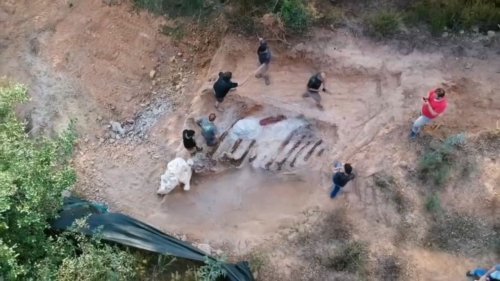 VIDÉO - Au Portugal, un homme découvre un squelette de dinosaure dans son jardin