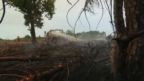 Incendie en Gironde : mobilisation générale face à un "spectacle qui prend aux tripes"