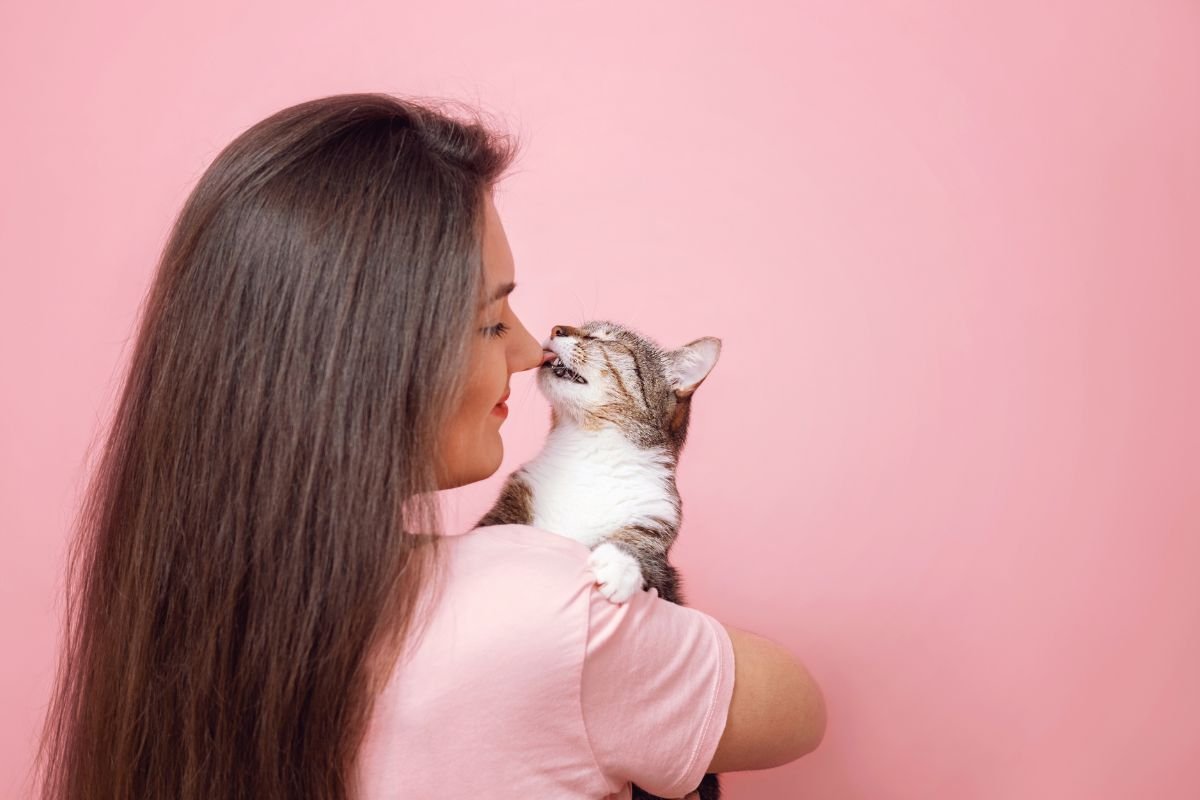 Why Does My Cat Lick My Hair?