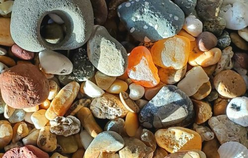 Agate Hunting 101: A Beach Guide to Finding Oregon's Best Hidden Gemstones