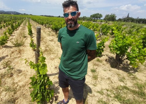 Rhône valley wines: some of the new producers that fly under the radar