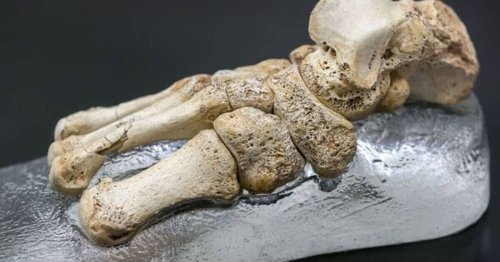 Sima de los Huesos: Inside the 'Pit of Bones' with thousands of mysterious human fossils