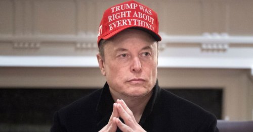 Elon Musk and Treasury Secretary 'had intense WWE-style shouting match in White House'