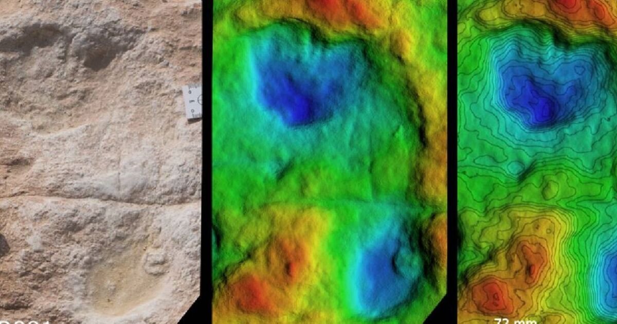 Archaeologists stunned as 115,000-year-old human footprints found in ...