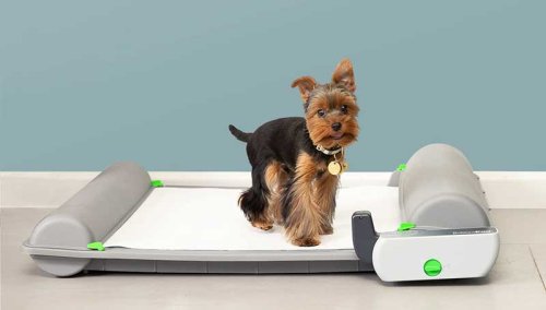 Here’s the equivalent of a smart litter box but for dogs!