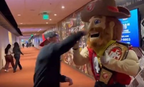 Nate Diaz floors mascot with one punch as MMA star 'wins first post-UFC fight'