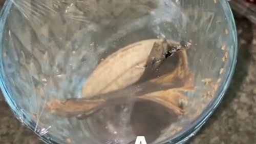 The easy hack to get rid of fruit flies without using anything stinky