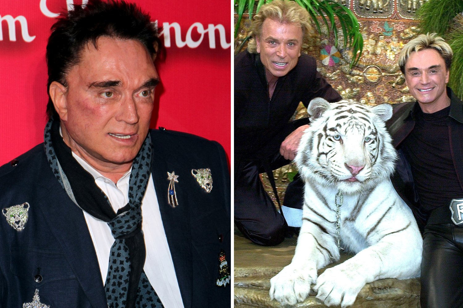 MAGIC LEGEND DEAD Roy Horn of magic duo Siegfried and Roy dies from coronavirus complications at 75