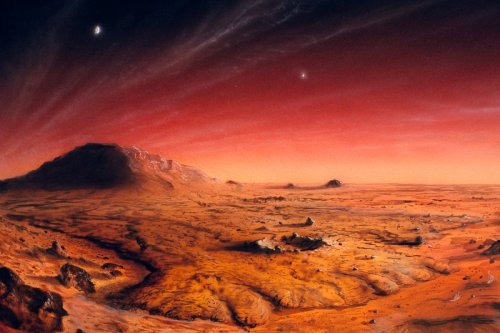 I'm a Nasa space genius and we could find evidence of Mars life for two reasons