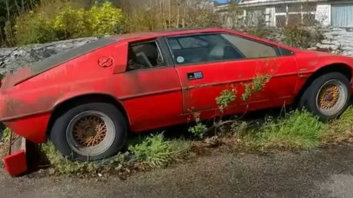 UNLOVED MOTORS ‘It’s not often you see that’ – I found two iconic British sports cars abandoned in a garden… weeds were growing inside