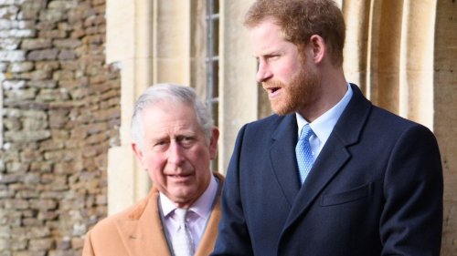 Inside bizarre Nostradamus prediction Harry 'will become king after Charles'
