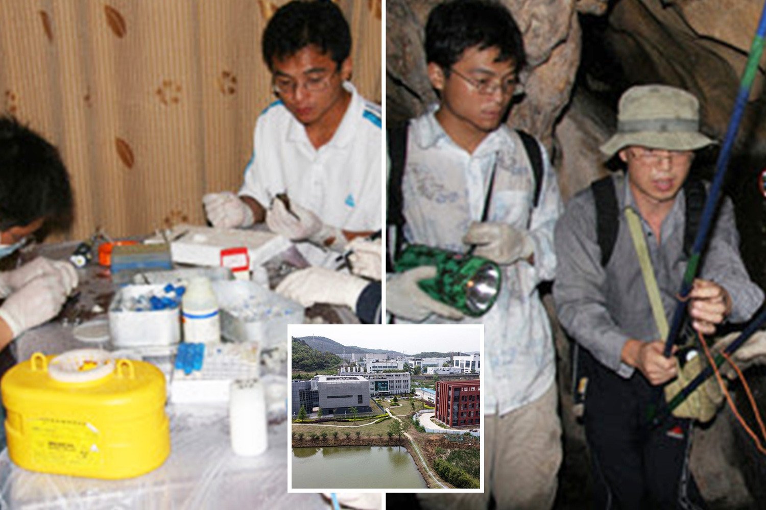 LAB COVER UP Pics of Wuhan scientists handling bats with shocking lack of safety precautions are deleted from institute’s website