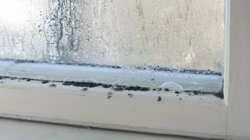 HOUSE THAT ‘So nice not having water streaming all over window sills’ rave shoppers over £12 gadget that stops mould & condensation