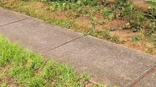 TIP TOP My DIY driveway transformation cost less than $250 – homeowner’s ‘fantastic’ tip will make it even more ‘beautiful’