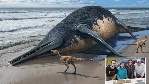 MAKING WAVES Colossal prehistoric sea beast longer than two buses identified after Brit girl, 11, finds fossils on Somerset beach