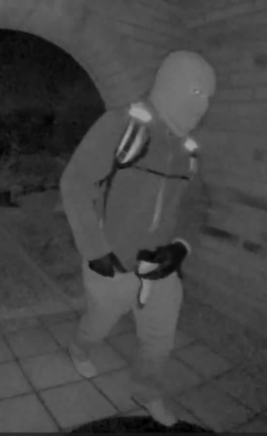 New Walmart clue urgently probed by Arizona police in desperate hunt for missing Nancy Guthrie after 18,000 tips come in