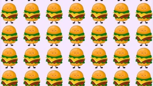 FOOD FOR THOUGHT Only high-IQ people can spot the odd one out in this picture of cheeseburgers – see if you can do it in 11 seconds