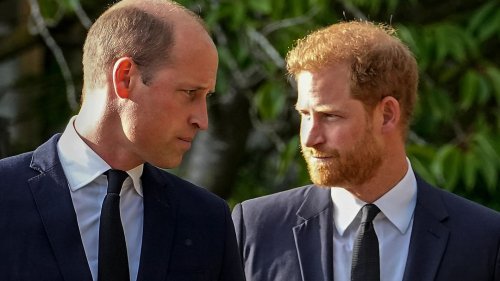 ROYAL RUMBLE ‘Reunion’ between Wills & Harry could happen in weeks – but future King has ALREADY ‘been through enough’, expert says