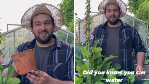 I’m a gardening guru and my hack means you don’t have to worry about forgetting to water plants ever again