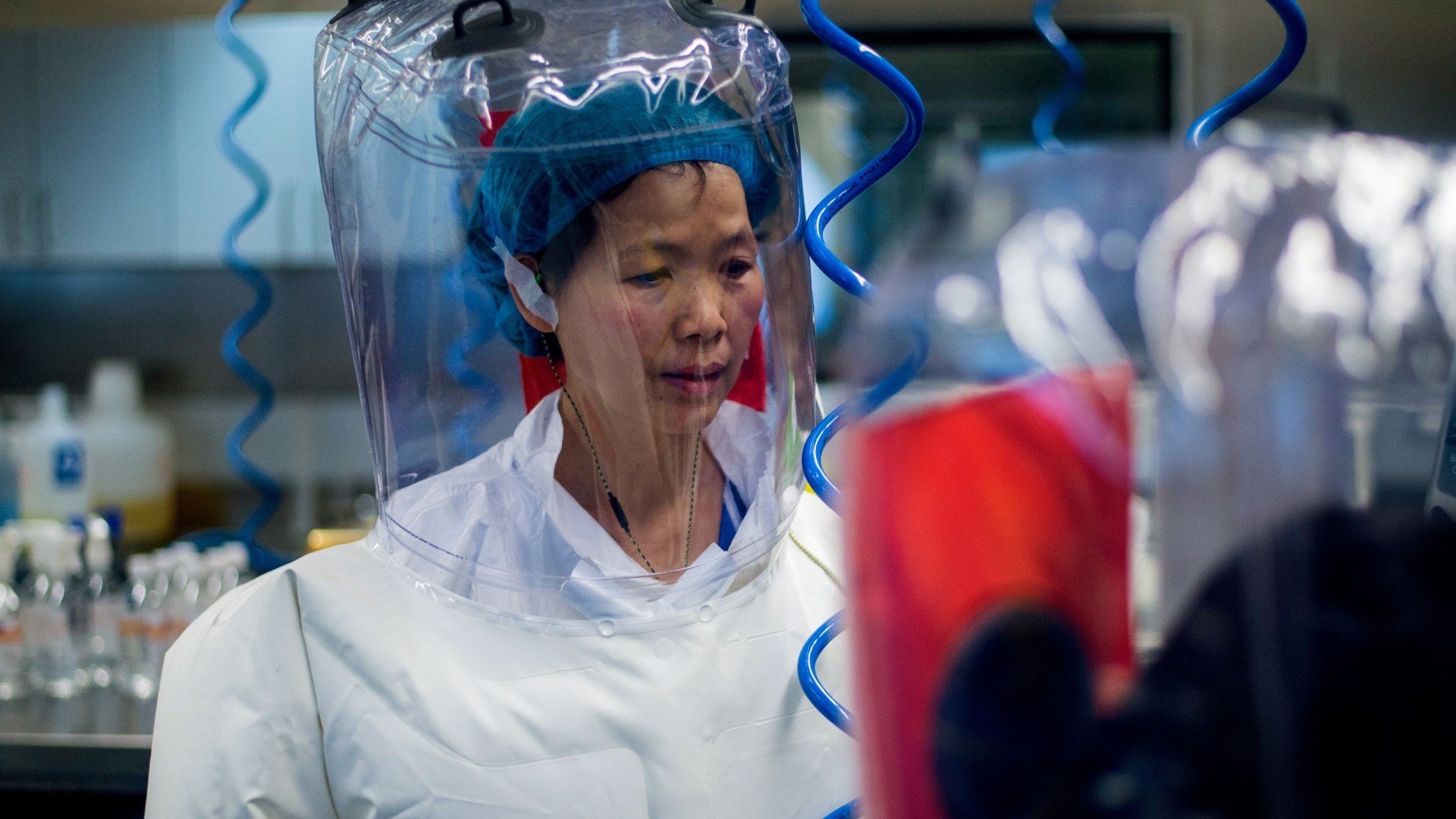 BATTED AWAY China’s ‘Bat Woman’ coronavirus doc denies trying to defect with secret files after dossier’s ‘Beijing cover-up’ claims