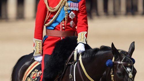 Prince William looks smart as he takes part in Trooping the Colour rehearsal as Prince Harry’s court case continues