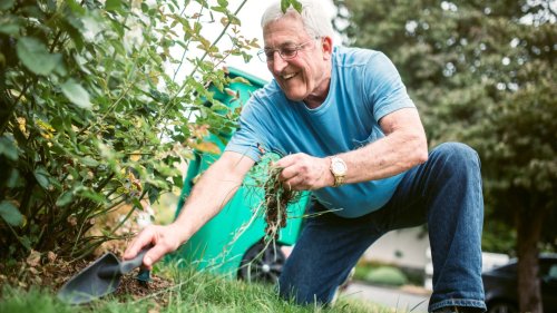 WEED 'EM OUT I’m a pro gardener – my 69p trick will kill your garden weeds in no time, you can buy the key item pretty much anywhere