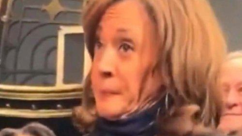 'SALAD QUEEN' ‘Embarrassing’ Kamala Harris slammed for garbled pep talk to Broadway cast as critics blast her ‘lack of self awareness’