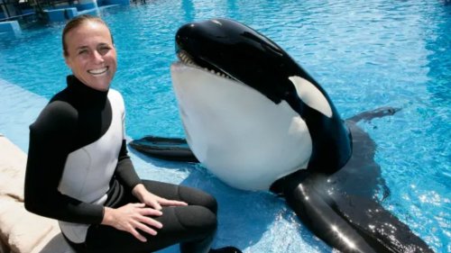 BLOOD IN THE WATER Horror death of SeaWorld trainer Dawn Brancheau mauled by ‘psychotic’ orca Tilikum who broke her spine & tore off scalp
