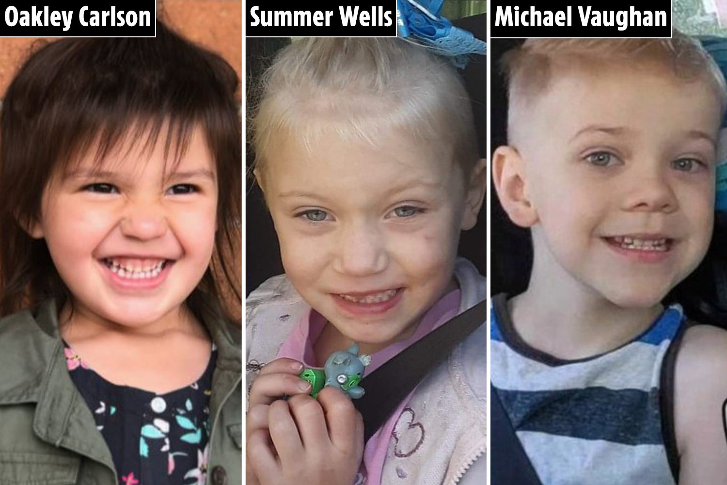 Inside the disappearances of Summer Wells, Oakley Carlson, and Michael  Vaughan as kids continue to vanish across US | Flipboard