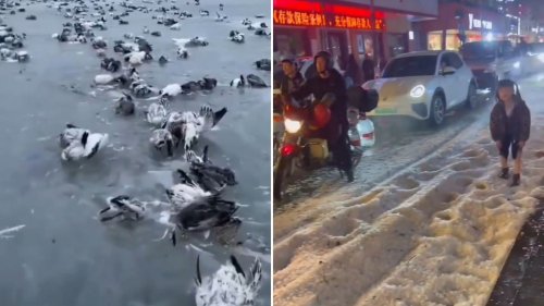 FROZEN HELL It’s so cold in China birds are being entombed in ice & commuters are coming home frozen SOLID amid freak -52C blast