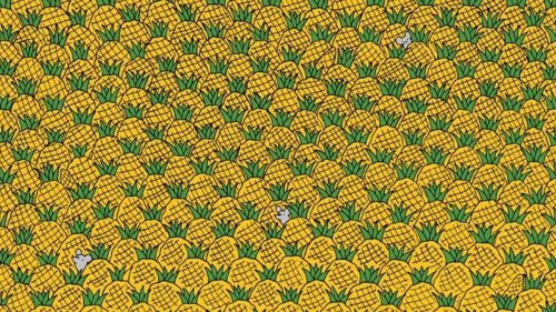 CORNY FIND Everyone sees the mice – but you have 20/20 vision if you spy the corn tucked amid the pineapple in 10 seconds
