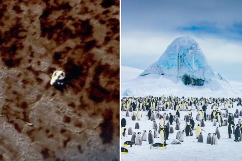 Web sleuth spots 'UFO' flying over Antarctica while searching Google Earth