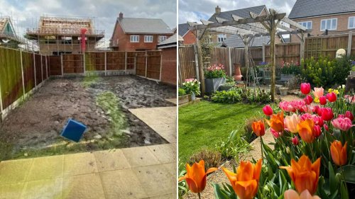 BLOOMING HECK I transformed my muddy new build garden into a summer oasis with Facebook and car boot sale buys – it looks unreal