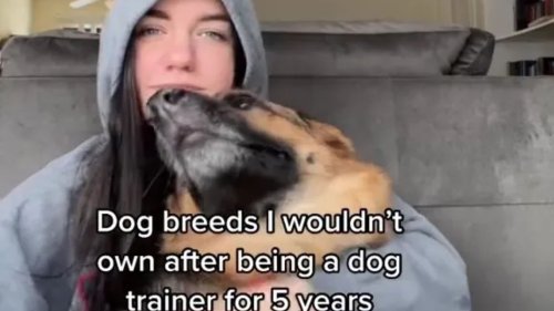 BARKING MAD I’m a dog trainer and there’s five breeds i’d never own – one popular pooch is a genetic disaster