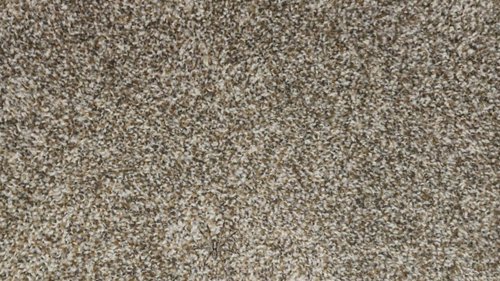 CUT A RUG Everyone sees the dirty carpet – but you have a high IQ and 20/20 vision if you see the spider in under 10 seconds