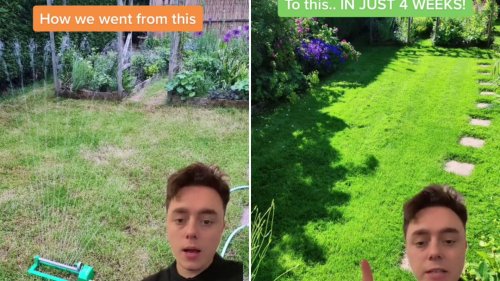 Green with envy I’m a gardening pro – I got my dry lawn looking lush and green in 4 weeks, anyone can do the same with my steps