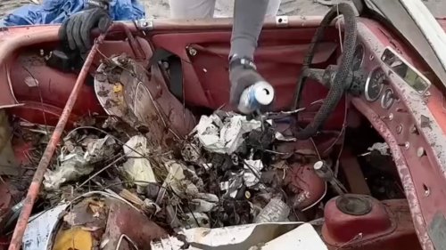 FANTASTIC FIND I found an abandoned sports car ‘rotting’ for 31 years – junkyard owner said it was mine if I ‘brought it back to life’