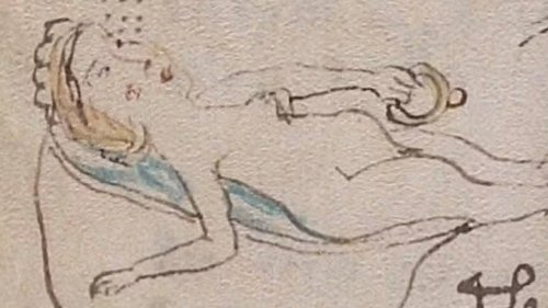 HIDDEN MESSAGE Mystery Voynich Manuscript written on animal skin in unknown language may hide ‘medieval sex secrets’ in illustrations