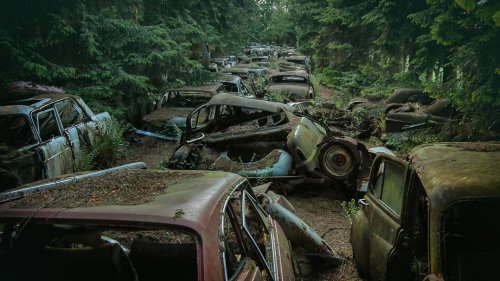 LEFT BEHIND ‘Traffic jam forest’ filled with abandoned cars including 1953 Pontiac & iconic Fords ditched by troops in ‘golden era’