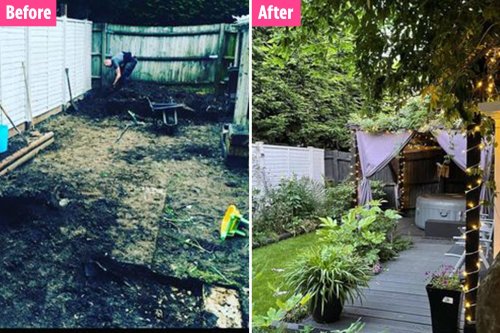 I transformed my dull and shabby backyard into a stunning 'dream garden'