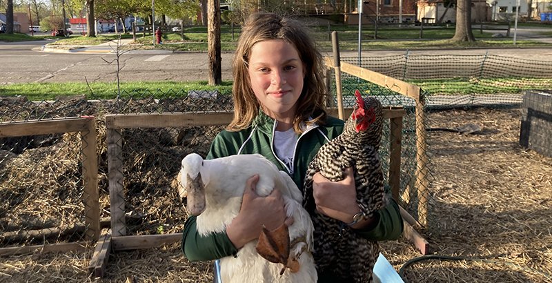 Pandemic Notebook: A 5th Grader’s Education in Chickens and Ducks