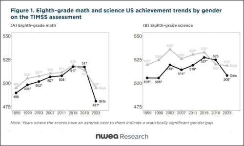 Boys Outperform Girls in Middle School STEM, Reversing Gender Gap, Study Finds