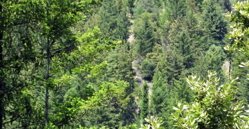 Our Towns: State Programs Are Laboratories for the Nation