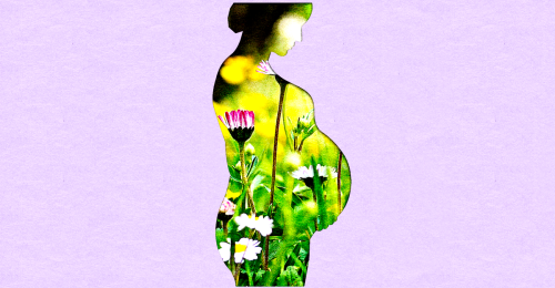 The Calendar of Human Fertility Is Changing