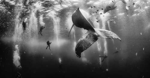 Winners of the 2015 National Geographic Traveler Photo Contest
