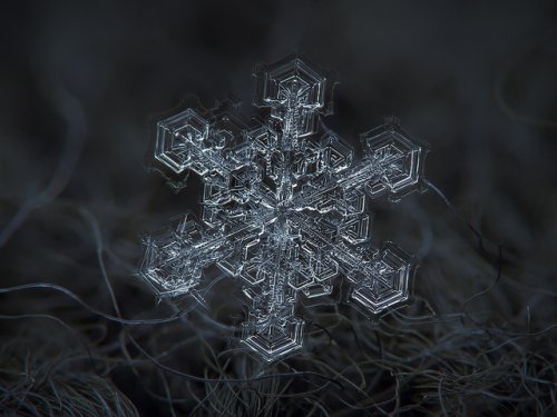 How to Take a Picture of a Single, Ultra-Magnified Snow Flake